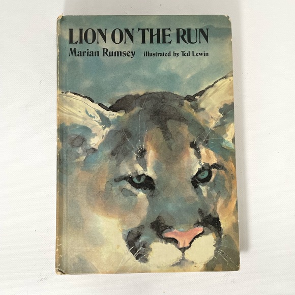 1973 Lion on the Run by Marian Rumpsey, illustrated by Ted Lewin - Picture 1 of 4